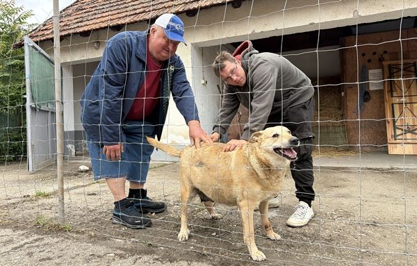Nyílt napot tartottak a Kisteleki Ebrendészeti Telep fennállásának 13. évfordulója alkalmából